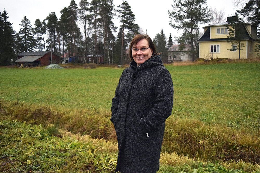 Kultahippusia etsimässä